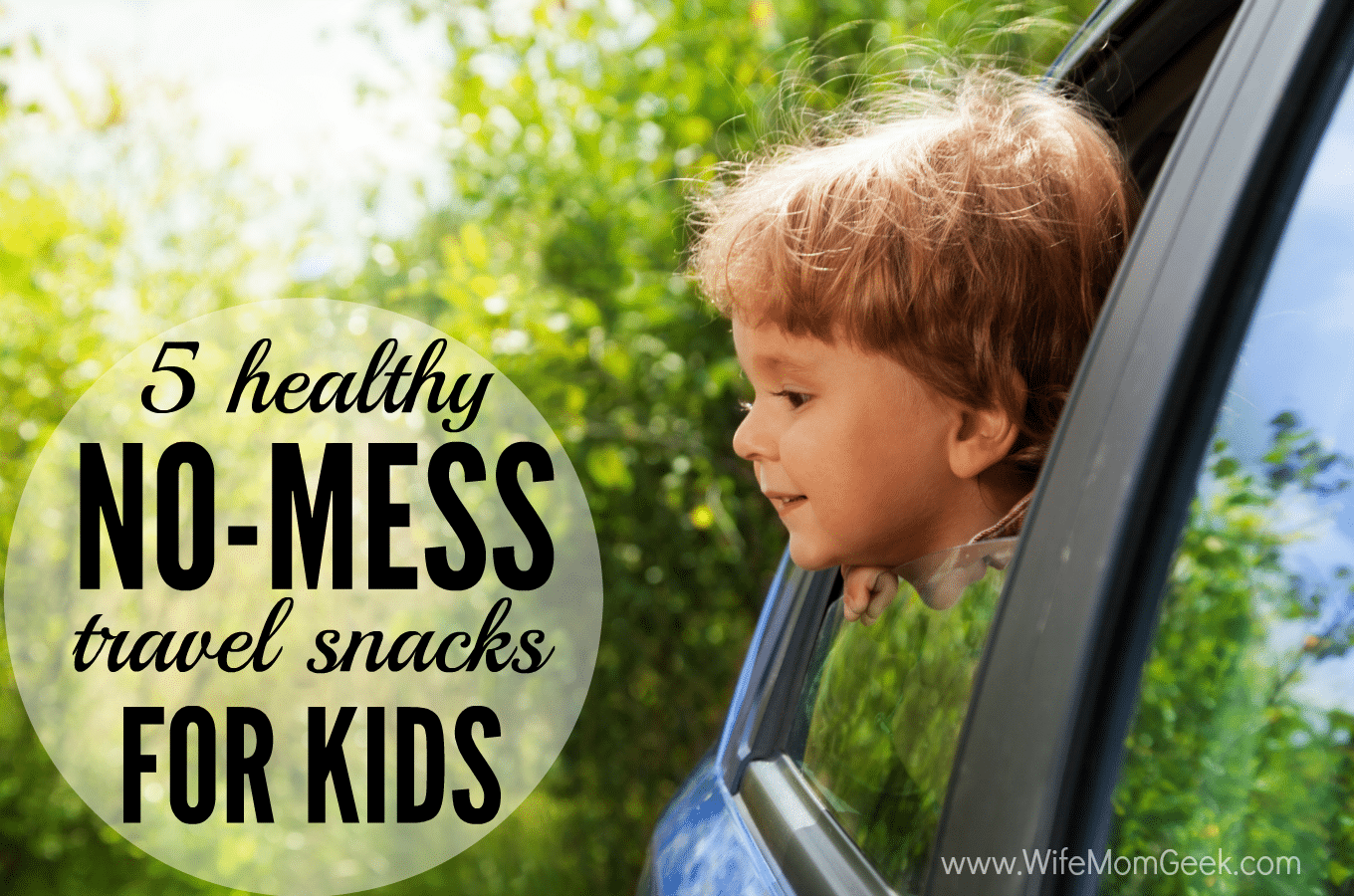 Healthy Travel Snacks for Kids