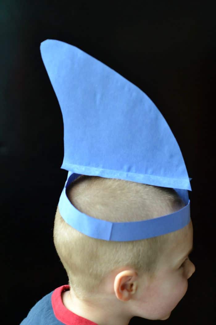 shark fin hat