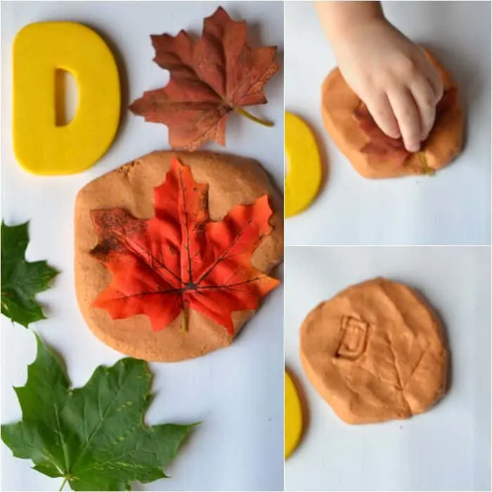 D is for Deciduous - Fall Kids Activity