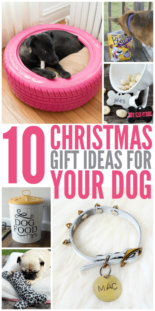 10 Christmas Gift Ideas for Your Dog - Glue Sticks and Gumdrops