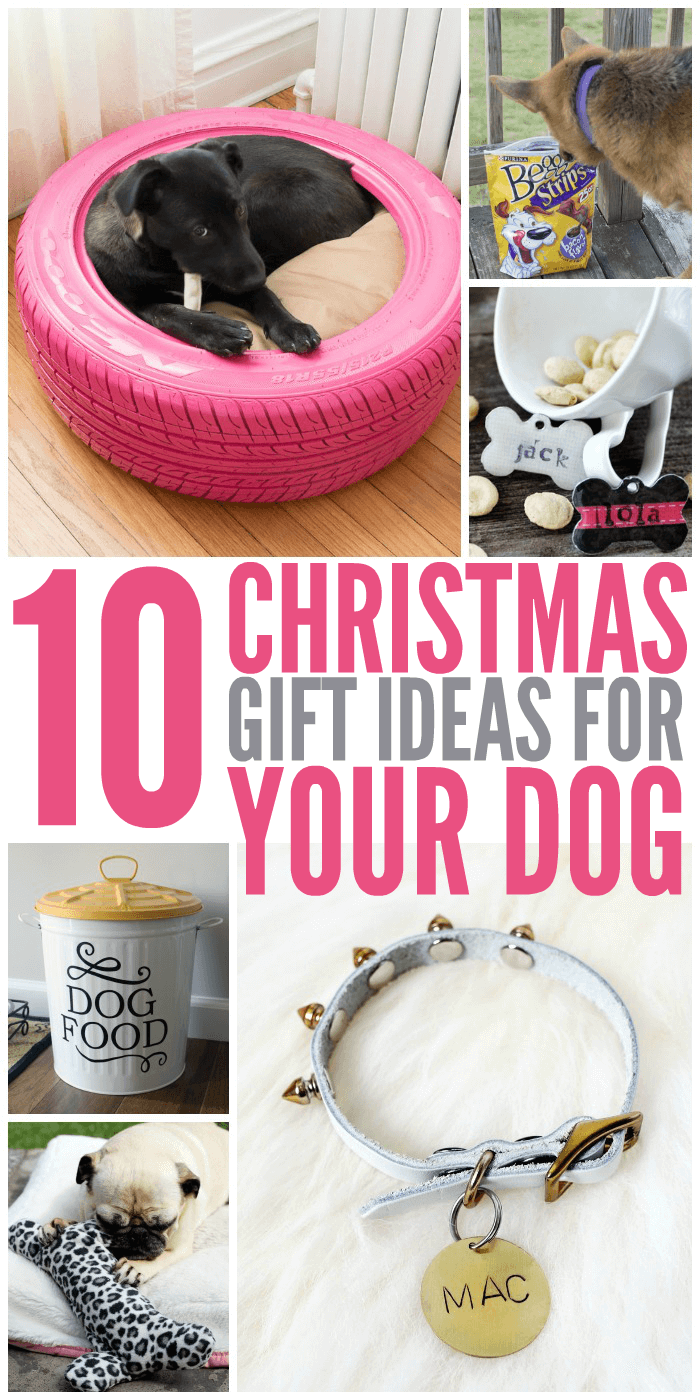 Christmas Presents for Dogs