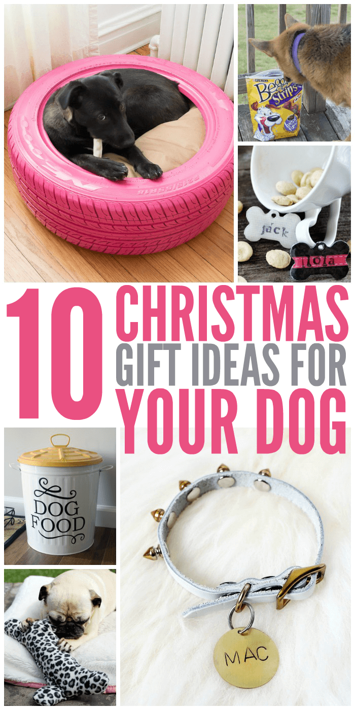 10 Christmas Gift Ideas for Your Dog