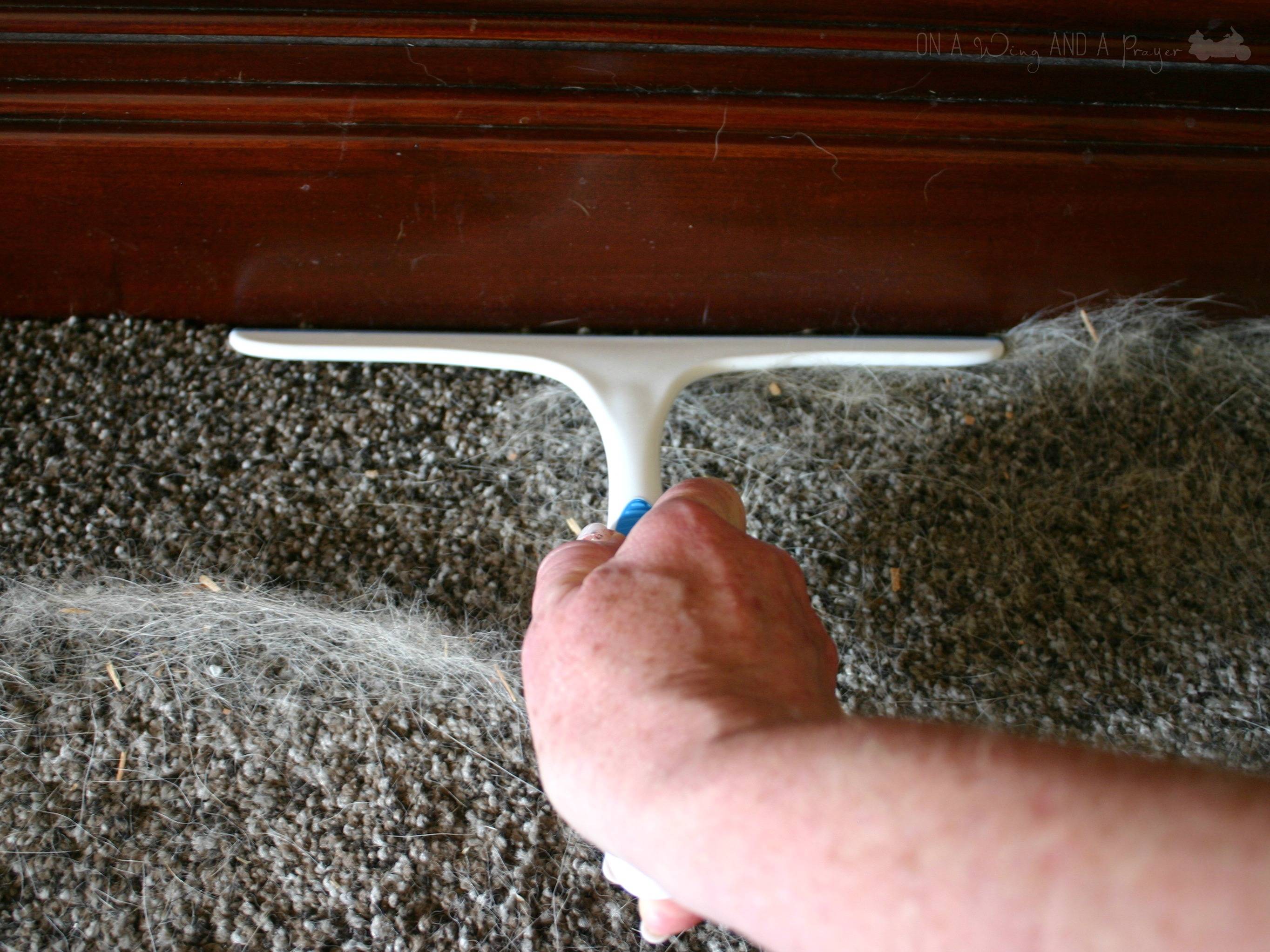 9 Ways to Use a Squeegee to Clean Glue Sticks and Gumdrops