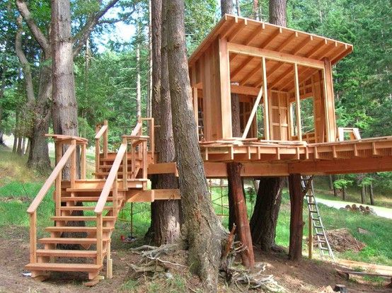 13 Tree Houses Your Kids Will BEG You to Build  Glue Sticks and Gumdrops