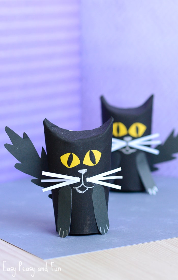 paper-roll-black-cat
