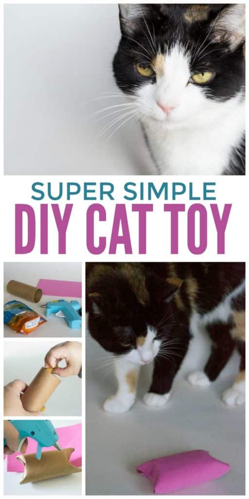 DIY Cat Toy Pampering Your Kitty Glue Sticks and Gumdrops