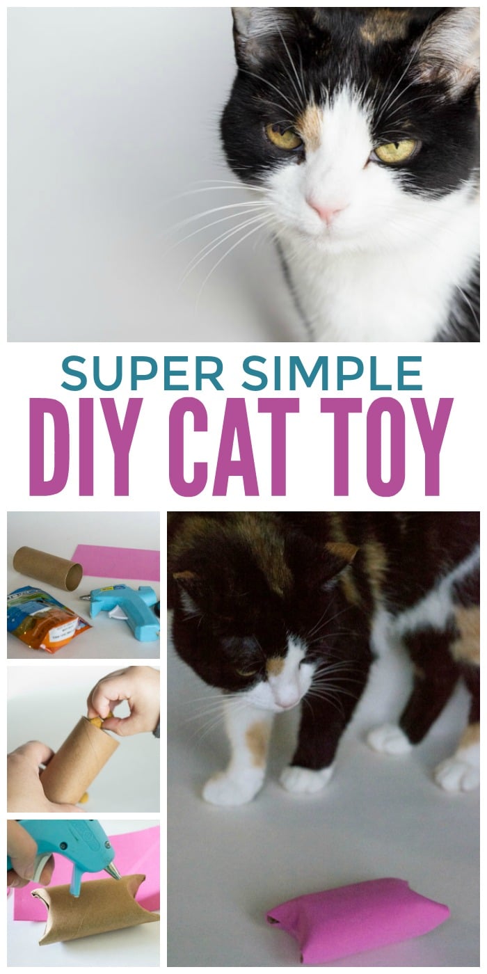 A super simple diy cat toy from a toilet paper roll - fill it with your cats favorite DentaLife treats!