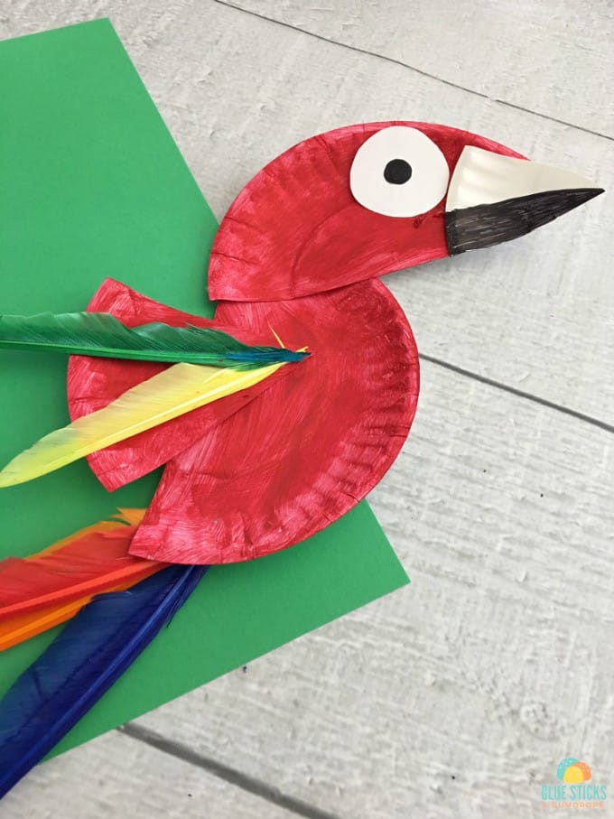 Colorful Parrot Paper Plate Craft for Kids
