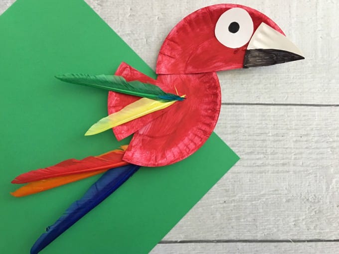 parrot paper plate craft 9