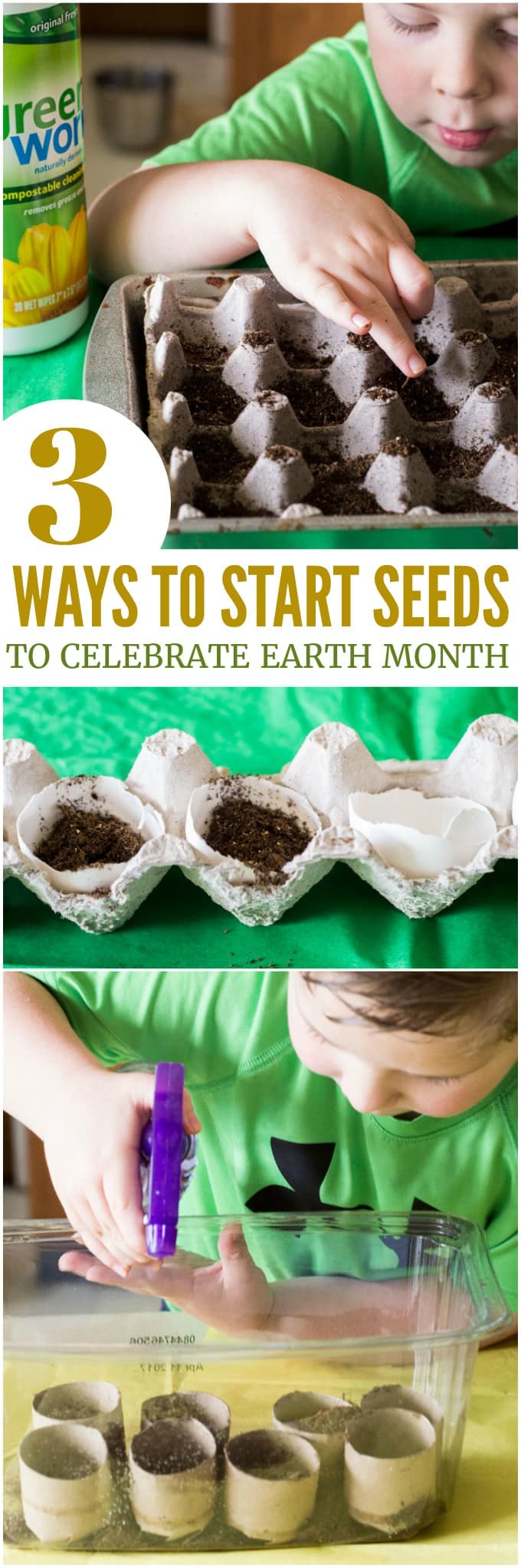 3 Earth-Friendly Ways to Start Seeds to Celebrate Earth Month