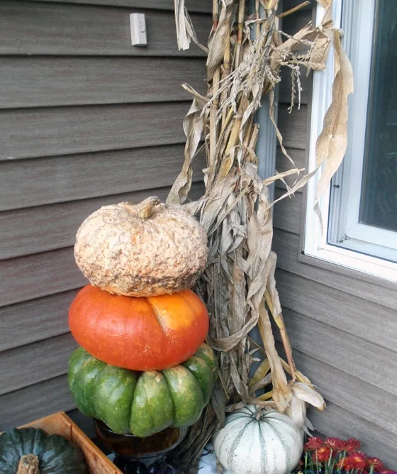variety of gourds