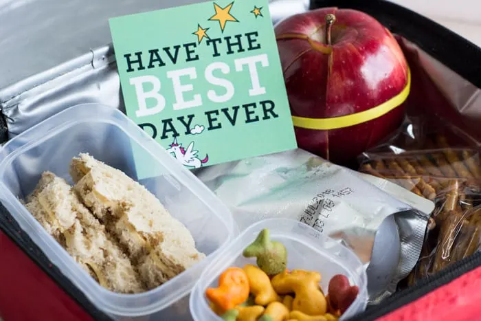 15 Lunch Box Packing Hacks Every Mom Should Know