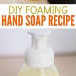 3 Ingredient DIY Foaming Hand Soap Recipe