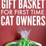 Gift Basket for First Time Cat Owners pin