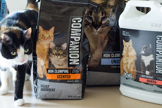 Companion Brand Cat Litter Products