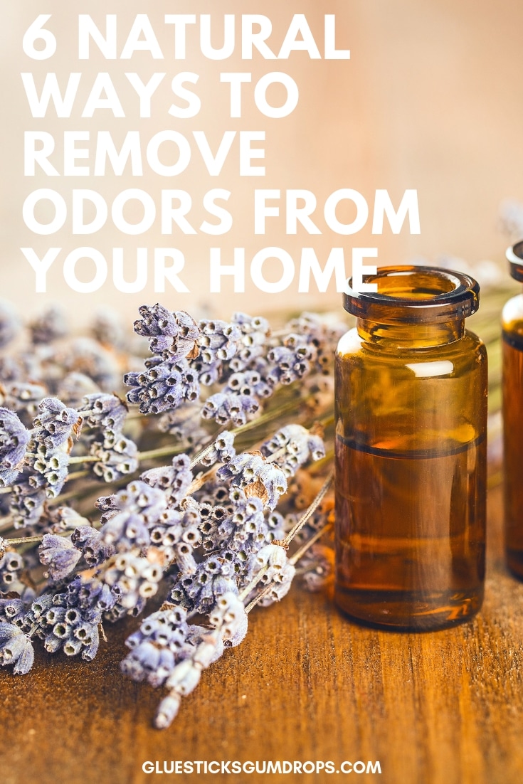 Get Rid of Bad House Smells Naturally with These 6 Tips - How To Get Rid Of Bad Odor In House