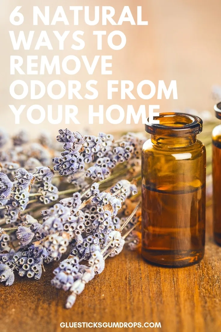Pet odors? Musty smell in the home? Use these 6 tips to get rid of bad house smells naturally.
