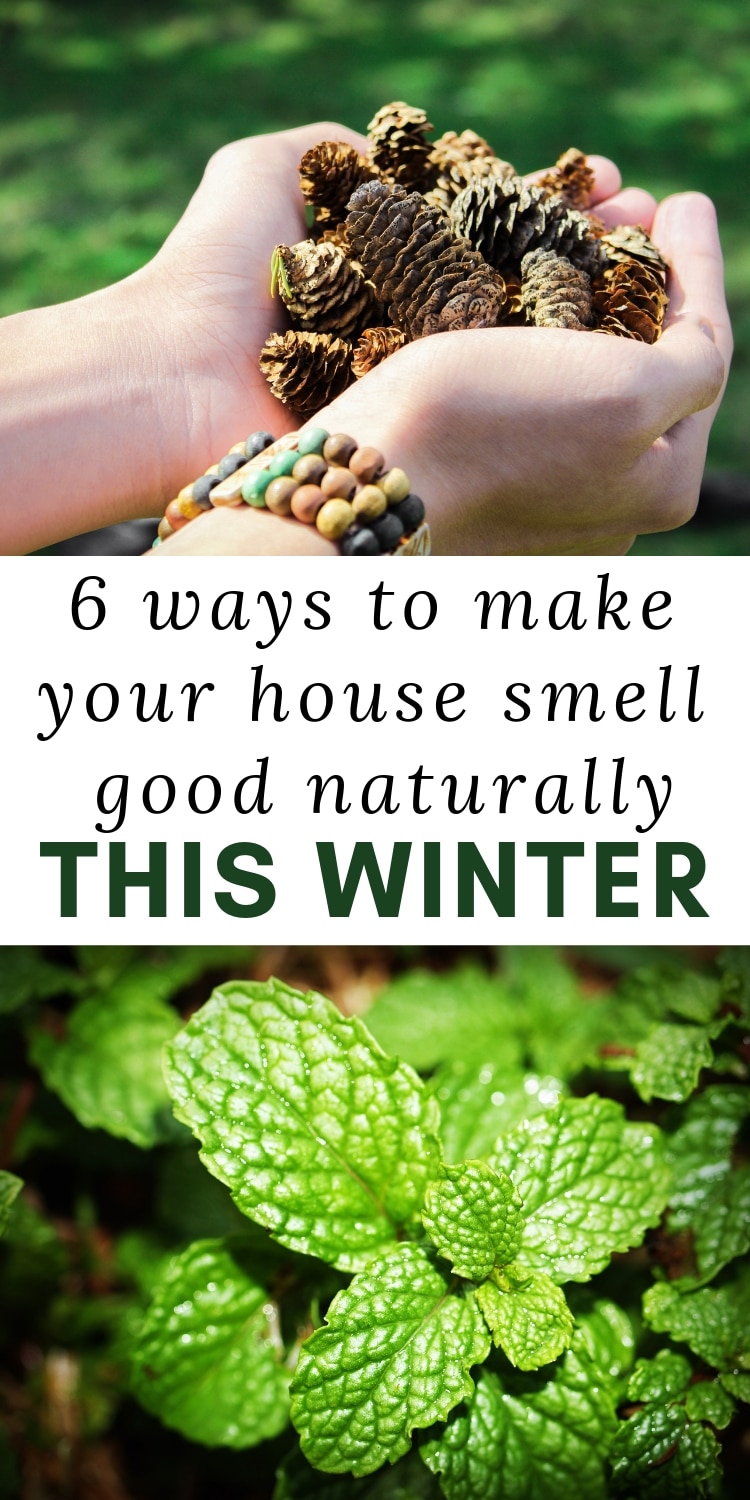 how-to-make-your-house-smell-good-naturally-this-winter