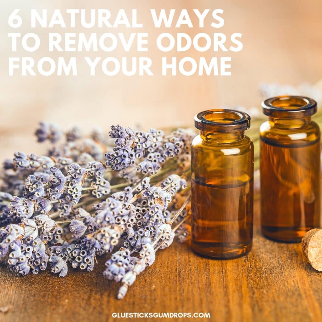 get rid of bad house smells