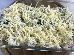 low carb chicken broccoli 4
