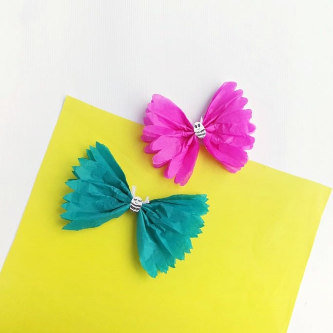 Cute Tissue Paper Butterfly Craft