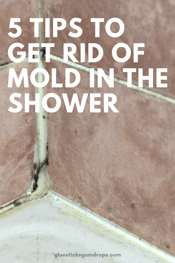 5 Simple Tips to Get Rid of Mold in the Shower Glue Sticks and Gumdrops