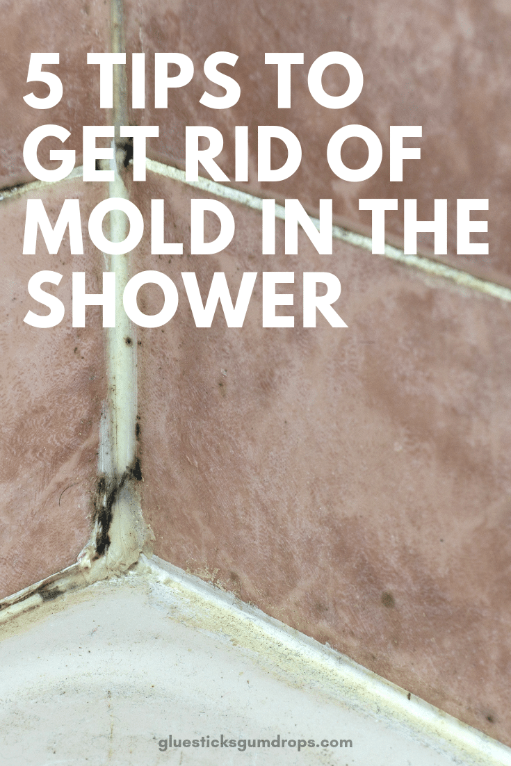 5 Simple Tips to Get Rid of Mold in the Shower - Glue Sticks and Gumdrops - How To Get Rid Of Mold In The Shower