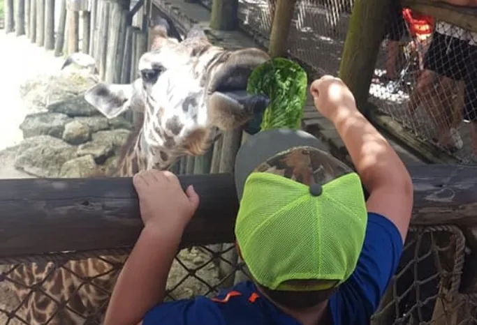 free kids days at the zoo
