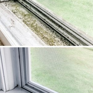 window tracks before and after