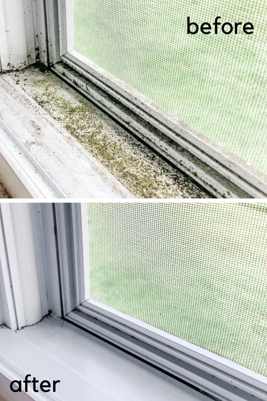 Clean Your Nasty Window Tracks Using One Simple Trick!
