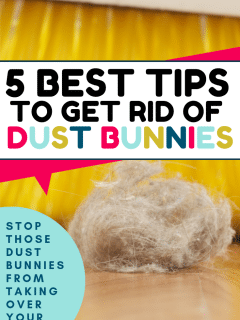 5 Best Tips to Get Rid of Dust Bunnies in Your Home