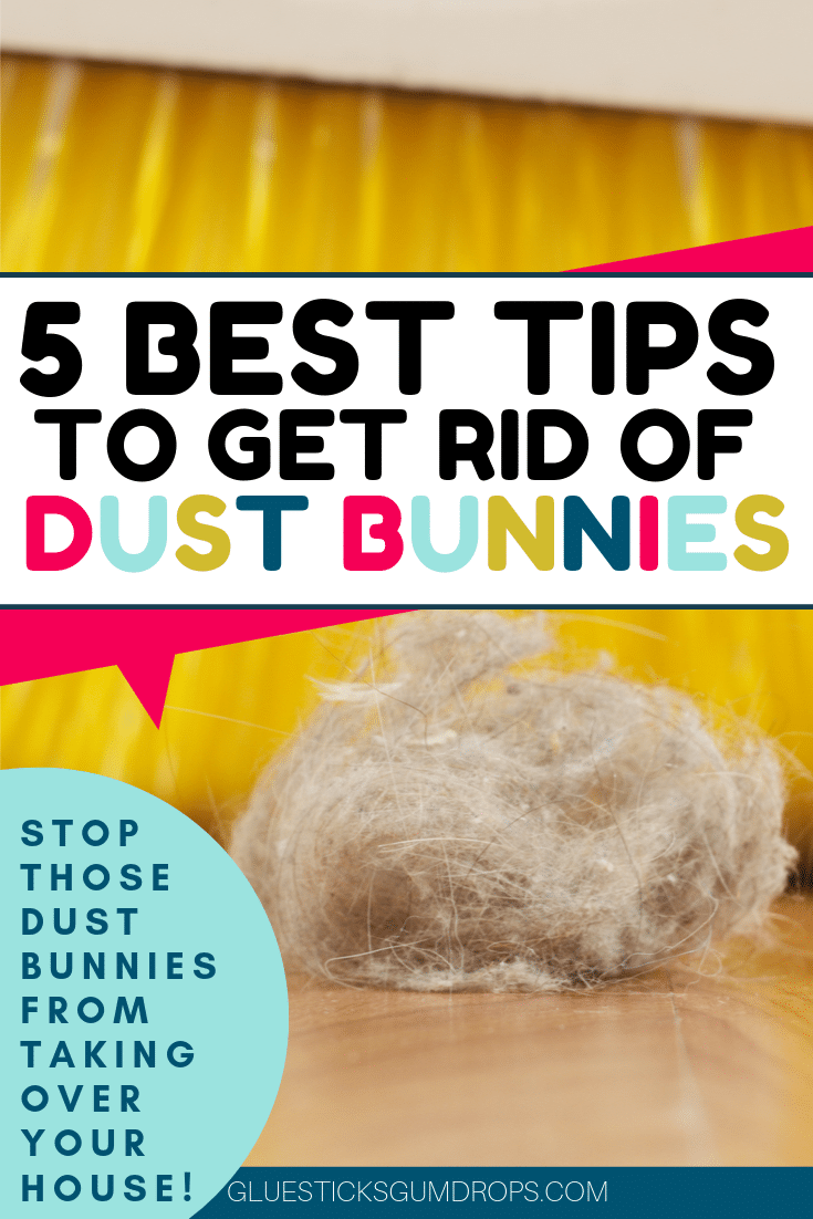 14 Best Tips to Get Rid of Dust Bunnies - Glue Sticks and Gumdrops