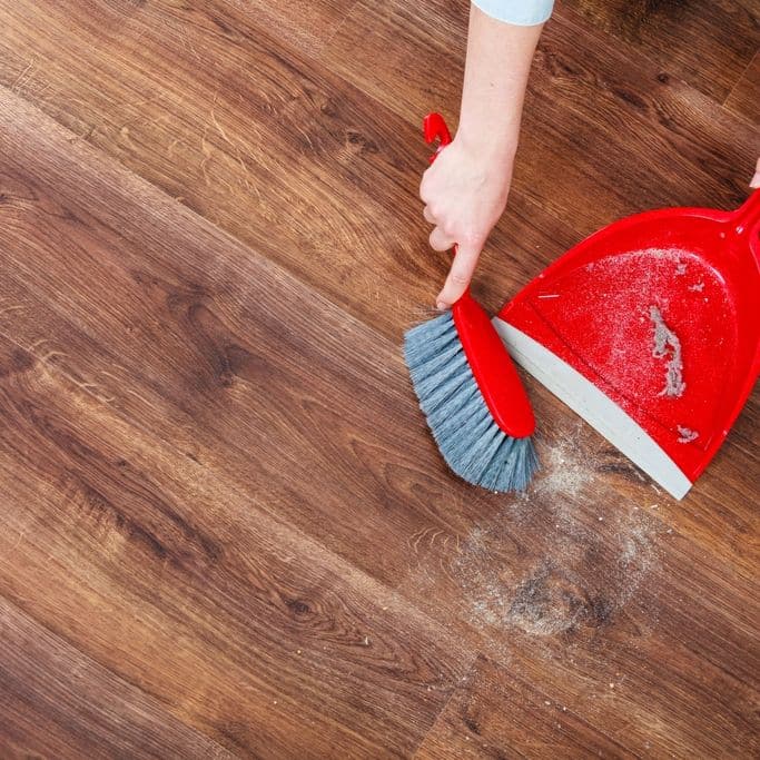 5 Best Tips to Get Rid of Dust Bunnies - Glue Sticks and Gumdrops