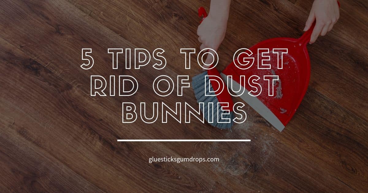 5 Best Tips To Get Rid Of Dust Bunnies Glue Sticks And