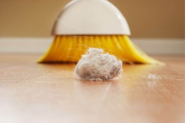 learning how to get rid of dust bunnies will help you keep a cleaner home