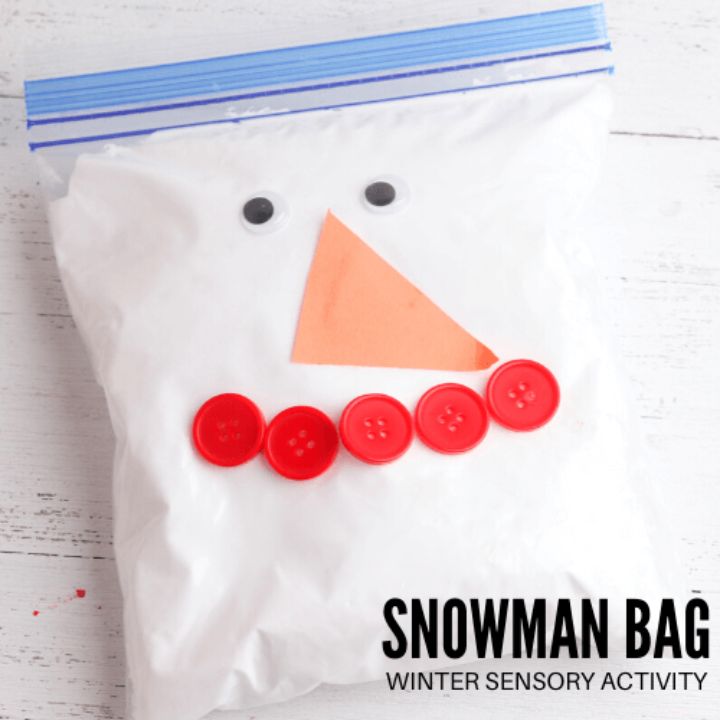 snowman in a bag