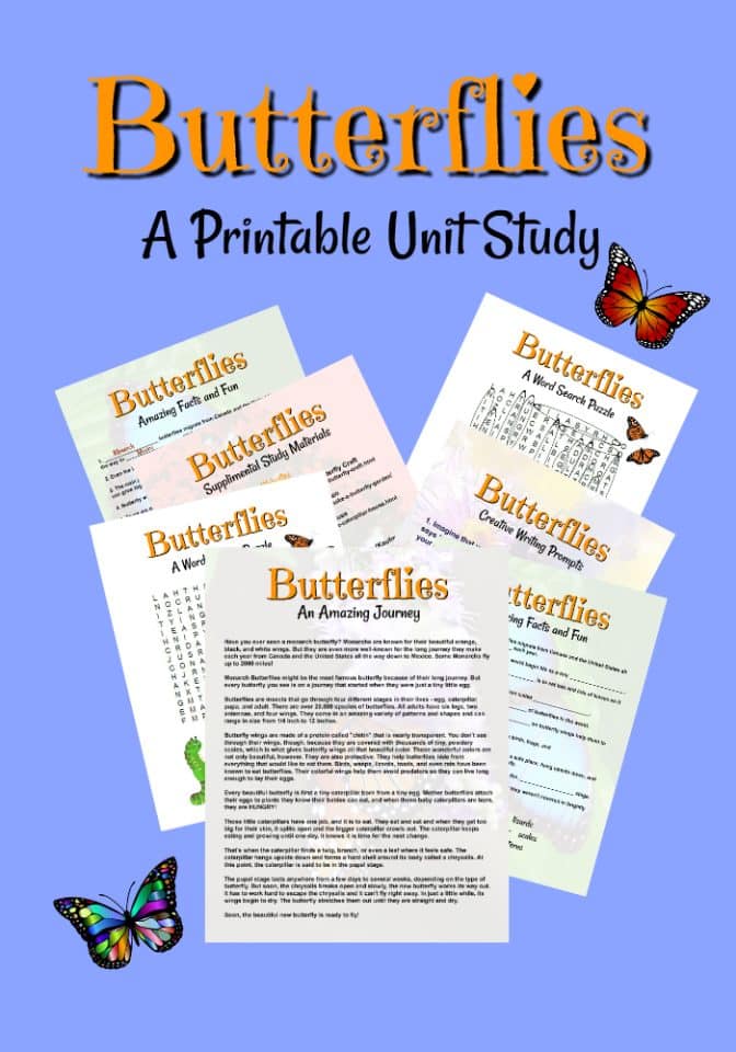 Butterfly Unit Study Ideas for Homeschool - Glue Sticks and Gumdrops