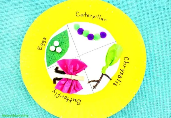 Butterfly Unit Study Ideas For Homeschool - Glue Sticks And Gumdrops