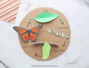 Butterfly Unit Study Ideas For Homeschool - Glue Sticks And Gumdrops