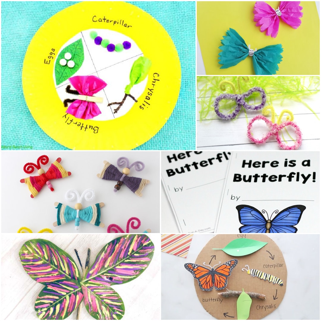 butterfly-unit-study-ideas-for-homeschool-glue-sticks-and-gumdrops