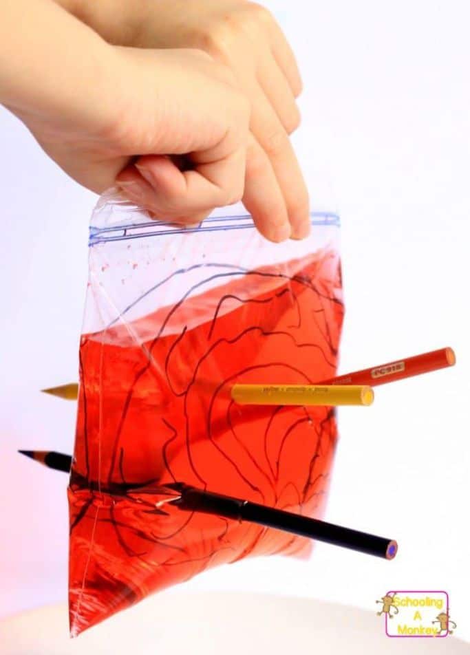 plastic baggie with red liquid with sharp pencils poking through the bag
