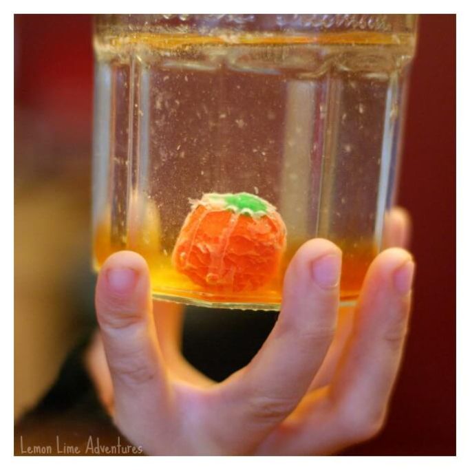 dissolving candy pumpkins experiment