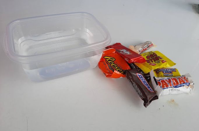 sink or float experiment with halloween candy