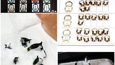 collage of 4 fun penguin activities for learning