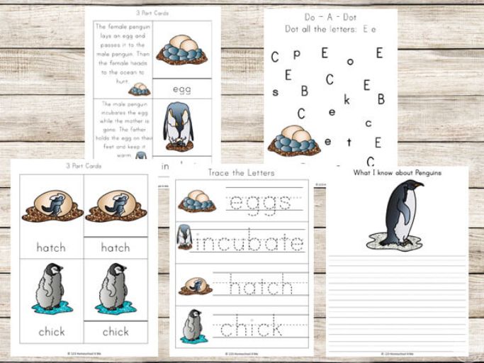 penguin life cycle printables from 123 Homeschool 4 Me