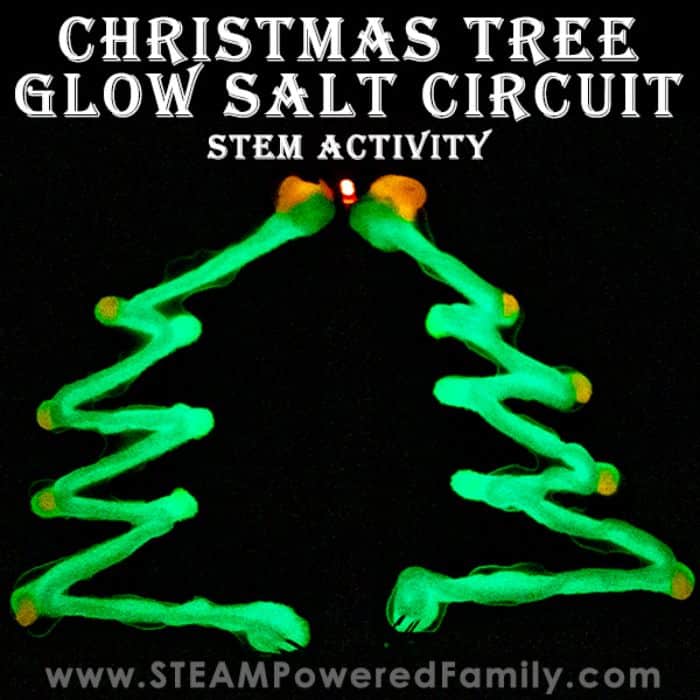 christmas tree glow in the dark salt circuit