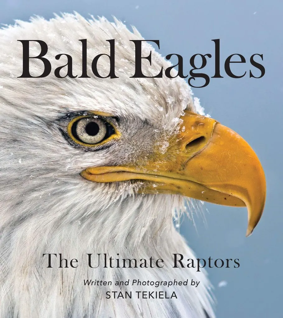 bald eagles the ultimate raptors book