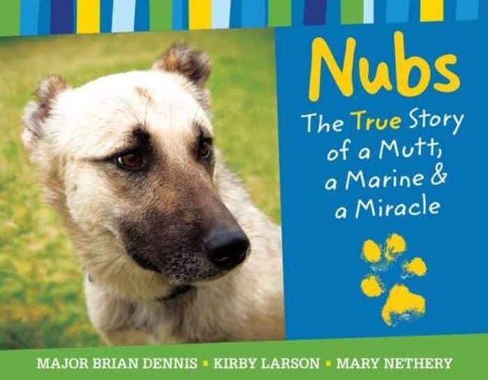 Nubs - true story book for kids