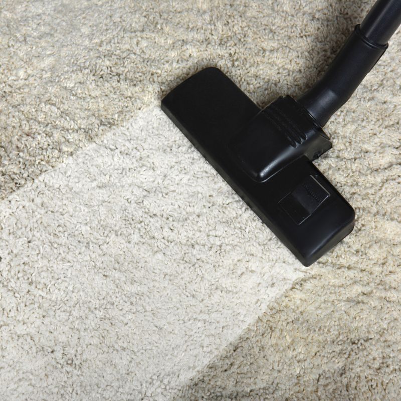 Shampooing for Clean Carpets Choosing the Right Machine