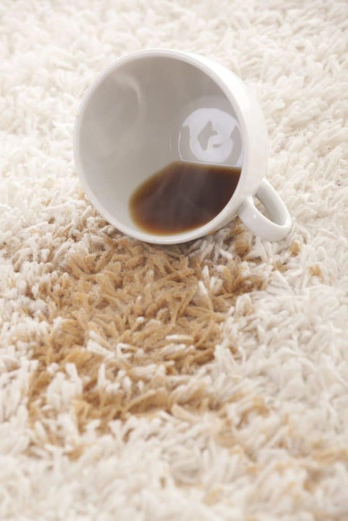 coffee spilled on carpet fibers